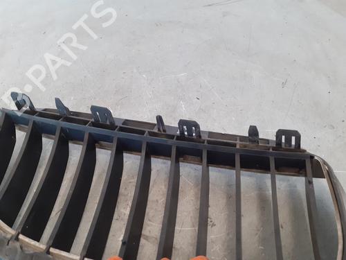 Grille BMW 6 (E63) 630 i | BP14189162C40 