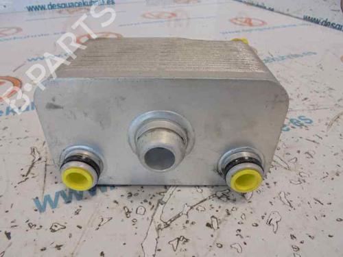 Oil radiator BMW X5 (E53) 3.0 i | BP14183442M33 