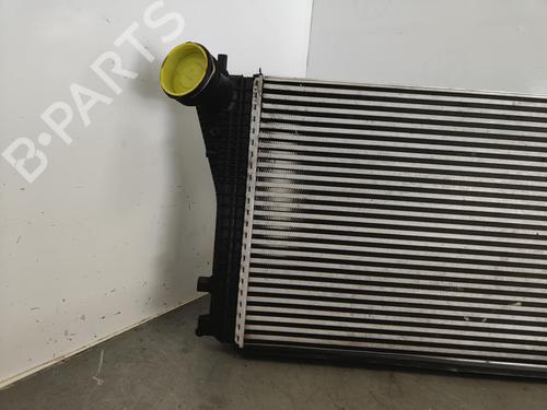 Intercooler SEAT LEON (1P1)  | BP13914249M30 
