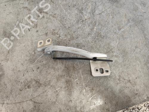 hingedoor-check-strap-renault-kangoo-grand-kangoo-ii-kw01_-2008-33698405 main image