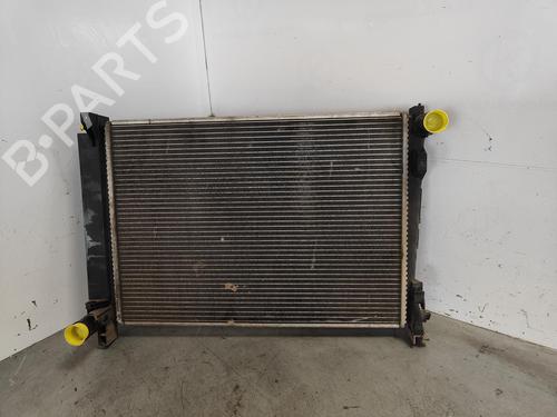 Køler CHRYSLER VOYAGER IV (RG, RS) [1999-2008]  17870745