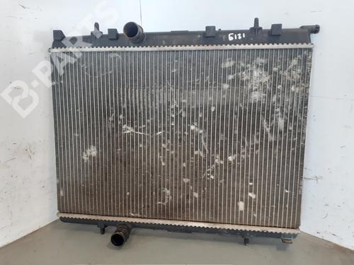 Used Water radiator PEUGEOT 206 CC (2D) [2000-2008]  9694519