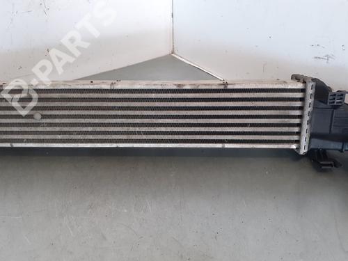 Intercooler MERCEDES-BENZ E-CLASS (W211) E 280 CDI (211.020) | BP7285782M30 