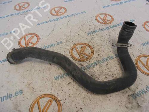 Rohr für FORD FOCUS I (DAW, DBW) [1998-2009]  14183256
