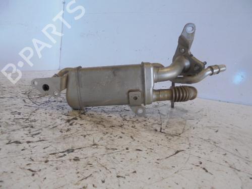 Egr RENAULT MEGANE III Hatchback (BZ0/1_, B3_) 1.5 dCi (BZ09, BZ0D, BZ1W, BZ29, BZ14) | BP14187032M69
