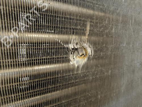Water radiator RENAULT CLIO II (BB_, CB_)  | BP12515501M31 