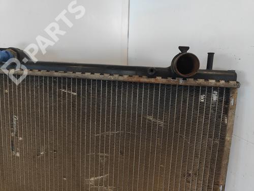 Water radiator FIAT BRAVA (182_)  | BP11791720M31 