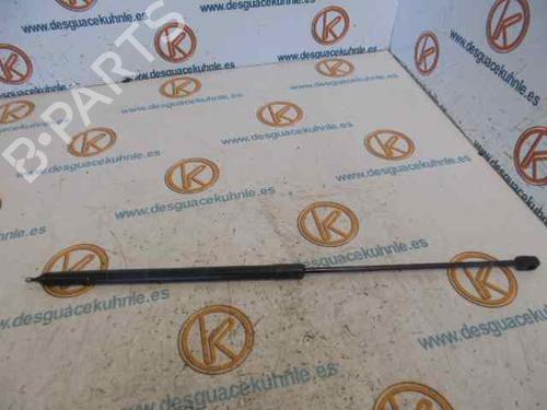 Used Hood lift support RENAULT MEGANE III Hatchback (BZ0/1_, B3_) 1.9 dCi (BZ0N, BZ0J) (131 hp) 14184909