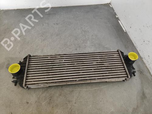 Used Intercooler RENAULT TRAFIC II Van (FL) [2001-2025]  15779125