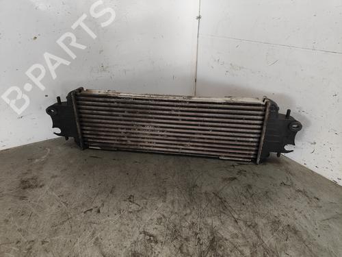 Intercooler NISSAN PRIMASTAR Van (X83) 1.9 dCi 100 | BP27835369M30 