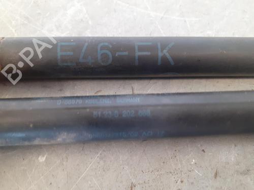 Hood lift support BMW 3 (E46)  | BP14189144C139