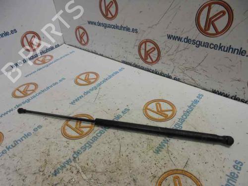 Used Tailgate lift support PEUGEOT 107 (PM_, PN_) 1.4 HDi (54 hp) 14185357
