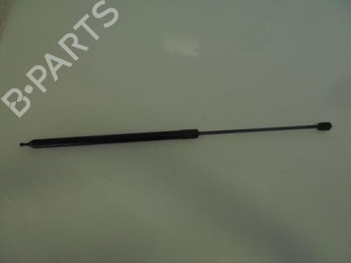 Used Hood lift support RENAULT MEGANE III Hatchback (BZ0/1_, B3_) 1.5 dCi (BZ09, BZ0D, BZ1W, BZ29, BZ14) (110 hp) 14187022