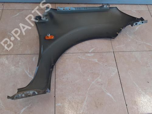 Left front fenders FORD FIESTA V (JH_, JD_)  | BP8303896C41 
