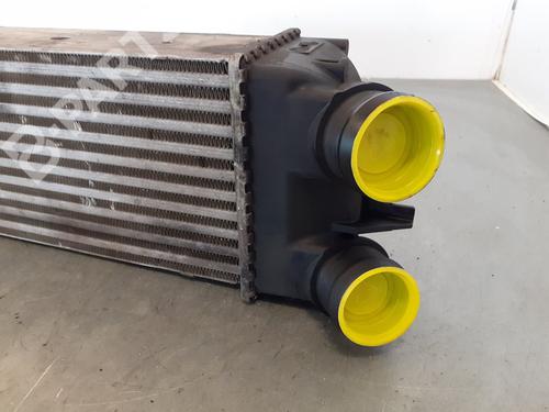 Intercooler CITROËN XSARA PICASSO (N68)  | BP10559713M30 