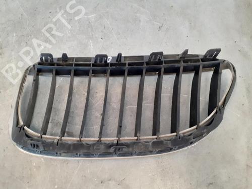 Grille BMW 6 (E63) 630 i | BP14189161C40 