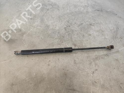 Used Hood lift support DACIA DOKKER MPV (KE_) [2012-2021]  15763902