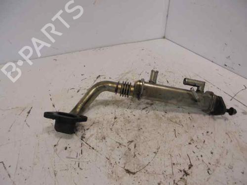 Used Egr NISSAN X-TRAIL I (T30) [2001-2013]  14186183