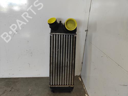 Used Intercooler Intercooler FORD FIESTA VI (CB1, CCN) 1.6 TDCi (90 hp) 33430888 33430888