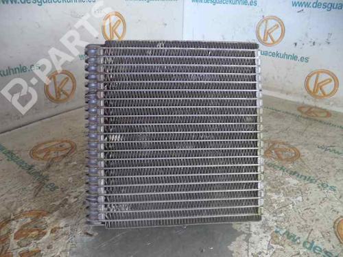 Air conditioning evaporator FORD FIESTA V (JH_, JD_) 1.4 16V (80 hp) 11664094