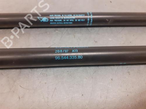 Tailgate lift support CITROËN C4 Picasso I MPV (UD_)  | BP14188840C138 
