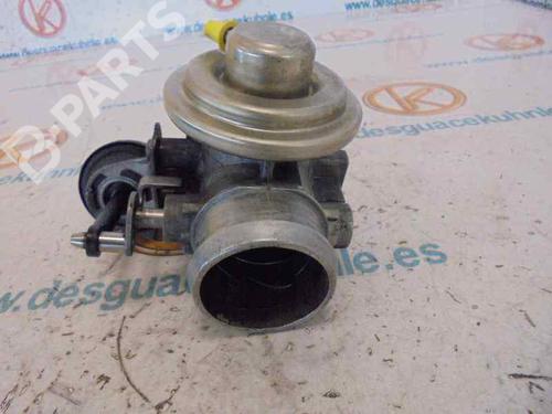 Egr SEAT IBIZA III (6L1)  | BP4504425M69 