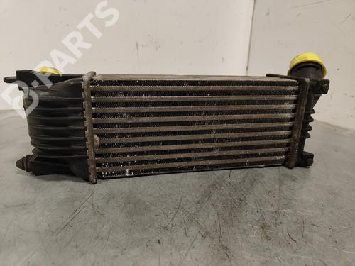 Intercooler PEUGEOT 407 (6D_)  | BP11690062M30 