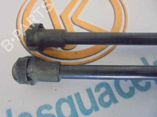Tailgate lift support AUDI A3 (8P1) 1.9 TDI | BP14184282C138 