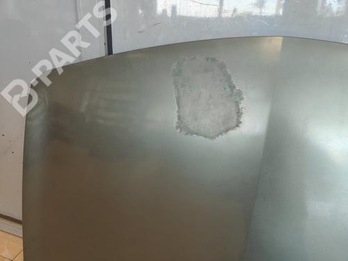 Hood RENAULT MEGANE II (BM0/1_, CM0/1_)  | BP11920802C1 