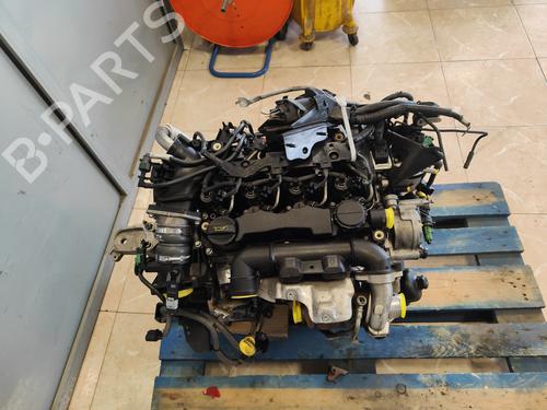 Used Engine Engine FORD FIESTA VI (CB1, CCN) 1.6 TDCi (90 hp) 33698397 33698397