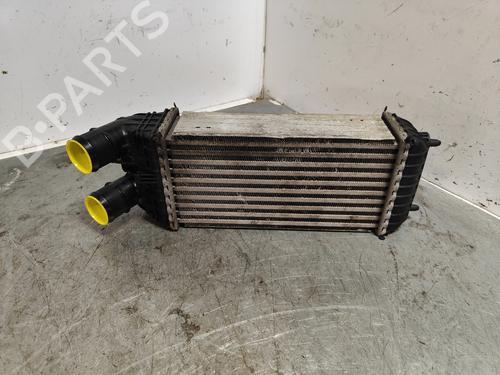 Intercooler CITROËN DS3 (SA_)  | BP29724489M30 