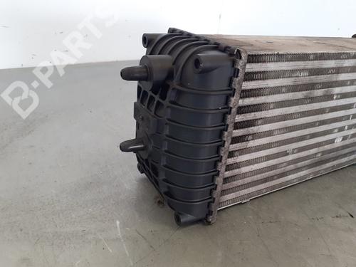 Intercooler CITROËN XSARA PICASSO (N68)  | BP10559713M30 