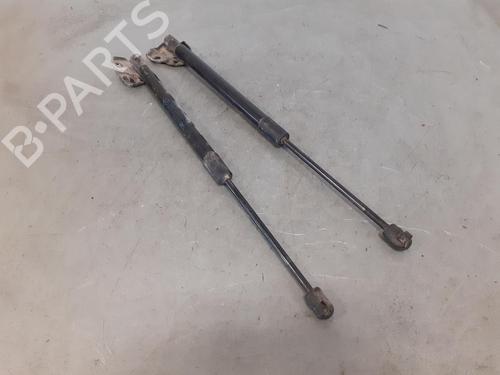 Used Tailgate lift support RENAULT MEGANE III Hatchback (BZ0/1_, B3_) 1.2 TCe (BZ2B, BZ11) (116 hp) 14189058