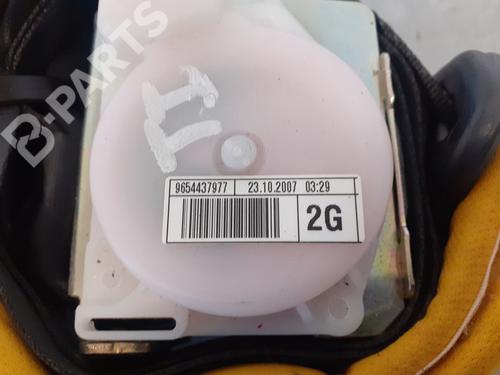 Rear left seatbelt CITROËN C4 Picasso I MPV (UD_)  | BP9078017I29 