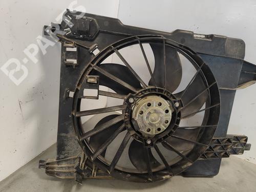 Radiator fan RENAULT MEGANE II (BM0/1_, CM0/1_)  | BP11920816M35 