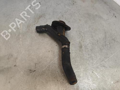 Pipe CITROËN XSARA PICASSO (N68)  | BP17139560M125 