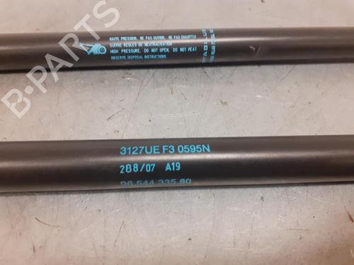 Tailgate lift support CITROËN C4 Picasso I MPV (UD_)  | BP14188840C138 