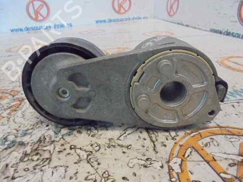 Other FIAT PANDA VAN (312_, 519_) 1.2 LPG (312CXA1A) | BP14184130O1