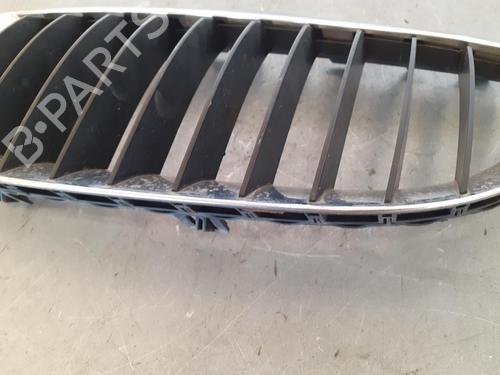 Grille BMW 6 (E63) 630 i | BP14189162C40 