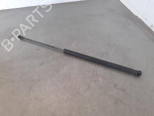 Used Tailgate lift support PEUGEOT 107 (PM_, PN_) [2005-2016]  14189346