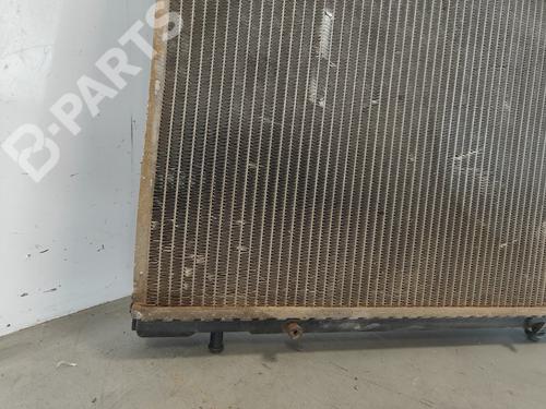 Water radiator FIAT BRAVA (182_)  | BP11791720M31 