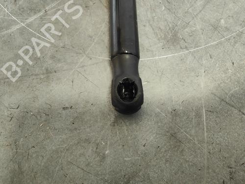Hood lift support VW GOLF V (1K1)  | BP14189598C139 