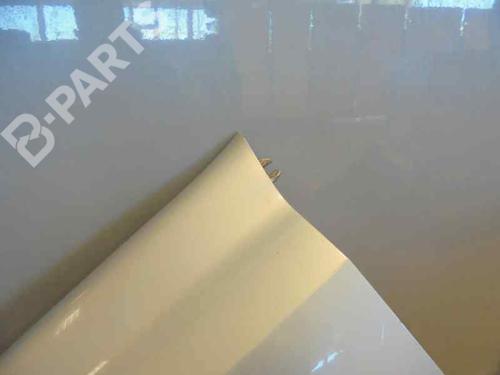 Left front fenders RENAULT LAGUNA II (BG0/1_) 1.8 16V (BG06, BG0J, BG0M) | BP2493123C41 
