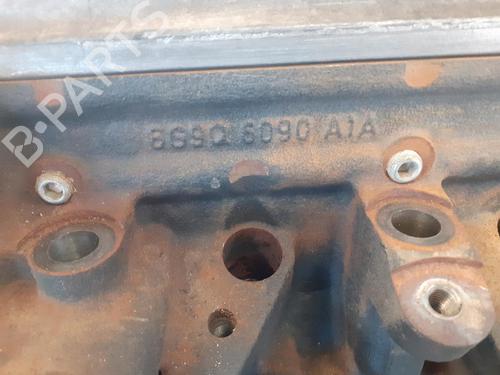 Cylinder head FORD FOCUS II (DA_, HCP, DP)  | BP10978694M5 