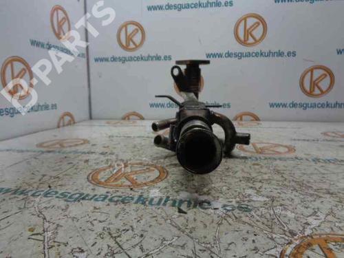 EGR Ventil LAND ROVER FREELANDER I (L314) [1998-2006]  2466308
