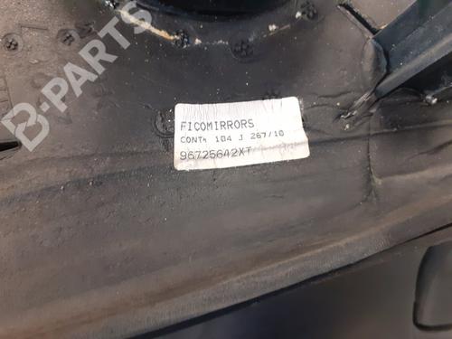 Left mirror PEUGEOT 206+ (2L_, 2M_)  | BP8219850C26 