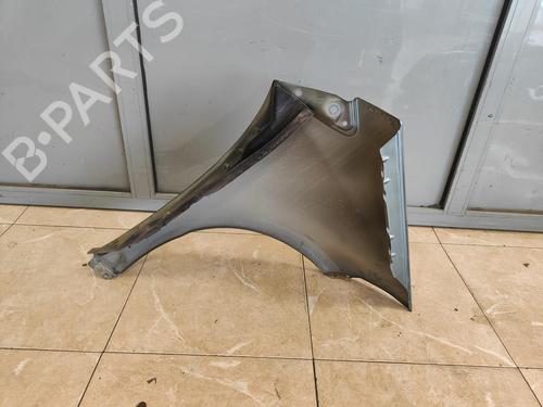 Left front fenders MERCEDES-BENZ A-CLASS (W169)  | BP17139572C41 