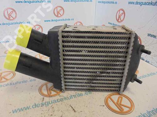 Used Intercooler RENAULT MEGANE I Coach (DA0/1_) 1.9 dCi (DA05, DA1F) (102 hp) 4020248