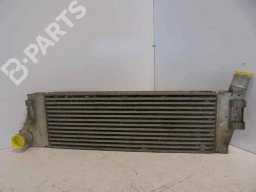 Used Intercooler RENAULT MEGANE II Saloon (LM0/1_) [2003-2025]  5388100
