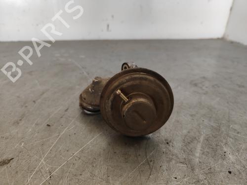 Egr PEUGEOT 206 Hatchback (2A/C)  | BP20036876M69 